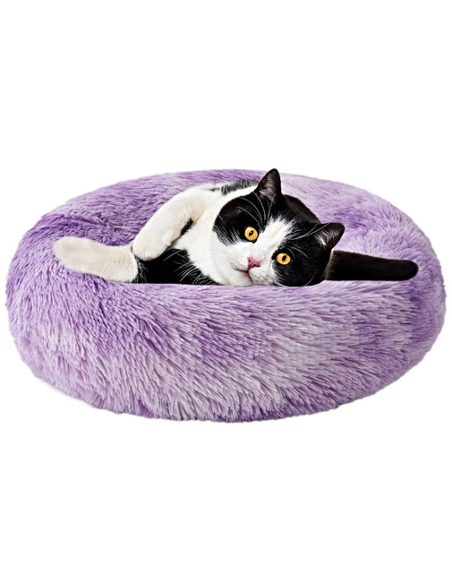 CAMA COJIN CHIPORRO REDONDO 60CM MORADO - 3