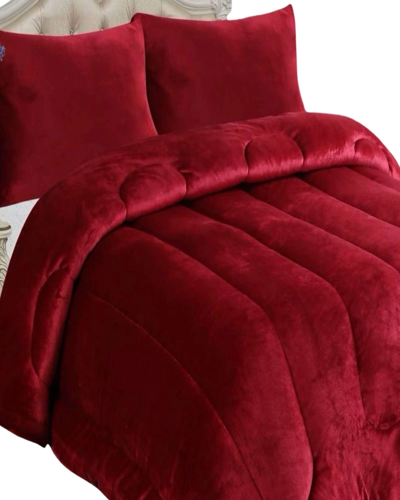 PLUMON DE INVIERNO CON CHIPORRO 15P 180X230CM - 2
