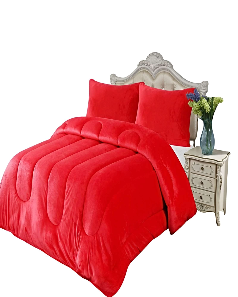 COBERTOR DE INVIERNO PLUSH 1.5 PLAZA 180X200CM P16 - 2