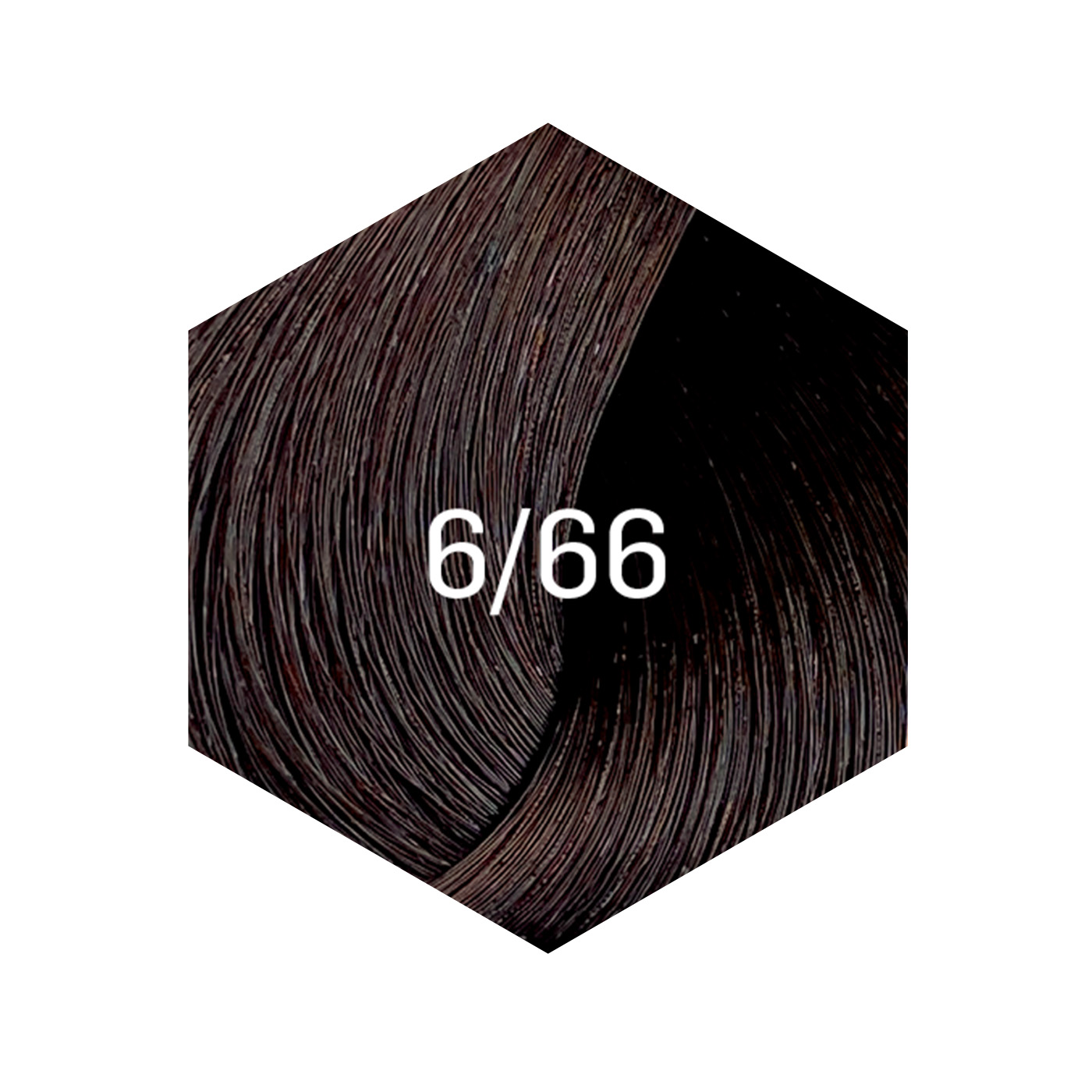 TINTURA NEW GLOSS 60ML 6/66 CASTAÑO - 2