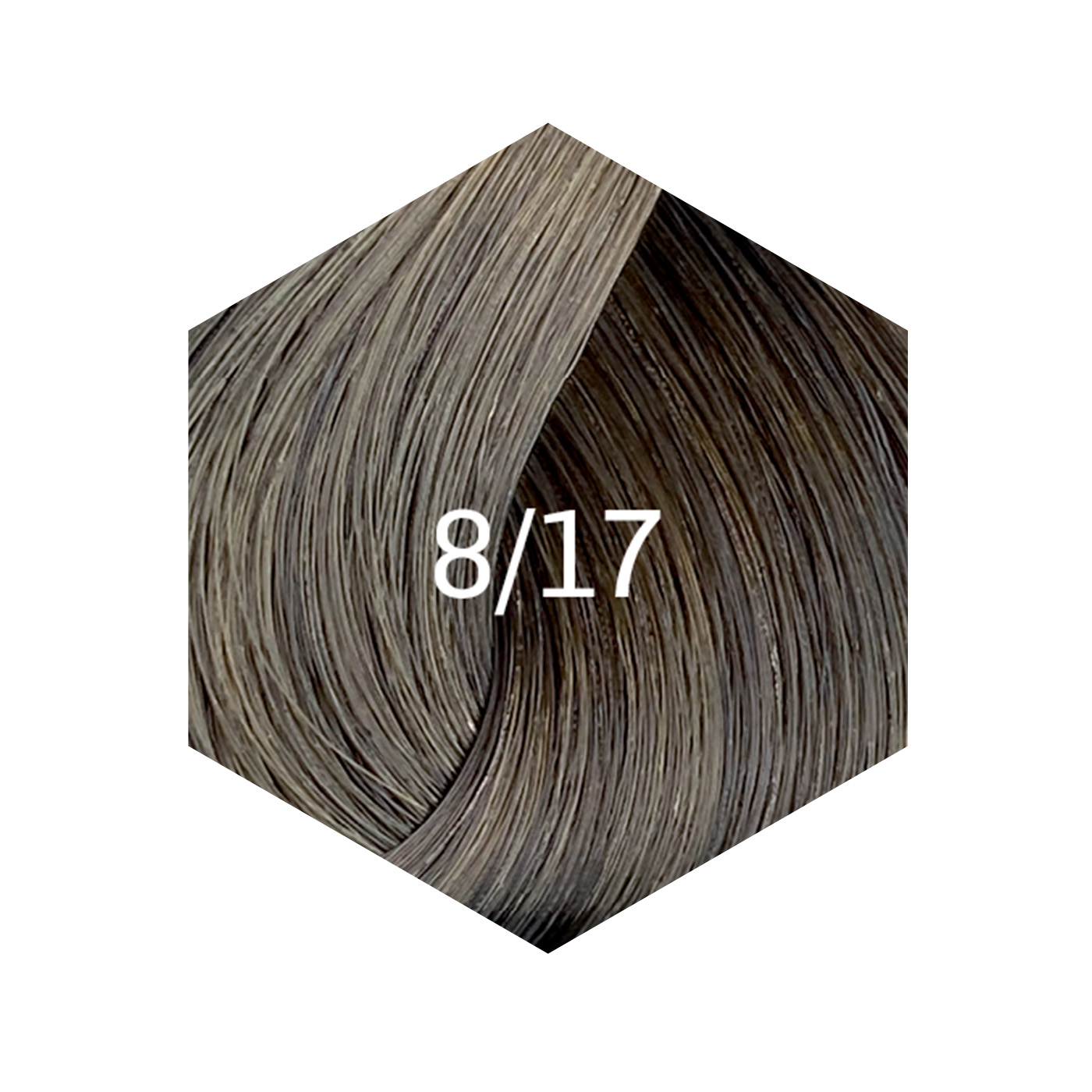 TINTURA NEW GLOSS 60ML 8/17 CENIZA AZULADO - 2