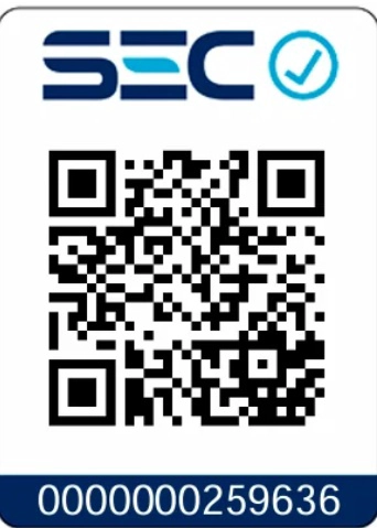 PISTOLA LLAVE IMPACTO 18V BRUSHLESS 210 NM MAKITA DTW181Z - 2
