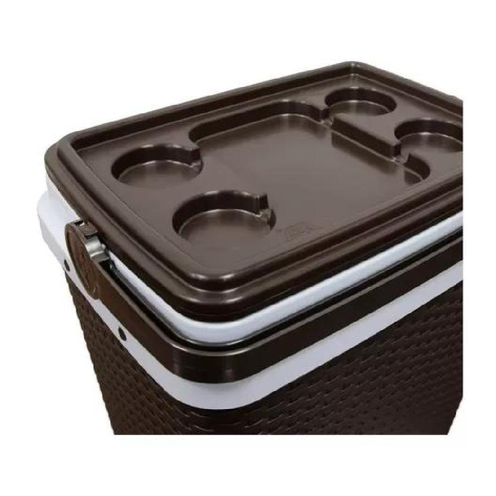 COOLER NEVERA RATAN 35 LT ACERO - 2