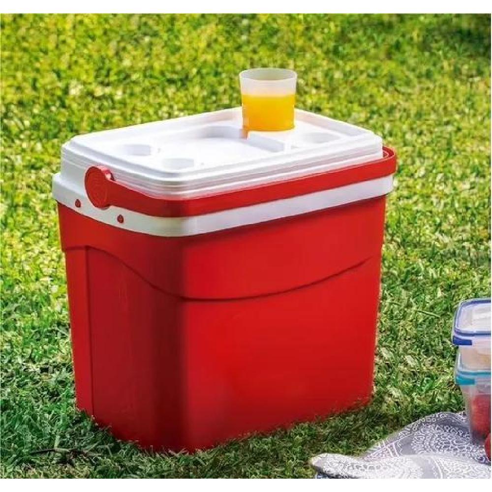 COOLER NEVERA RATAN 35 LT ACERO - 4