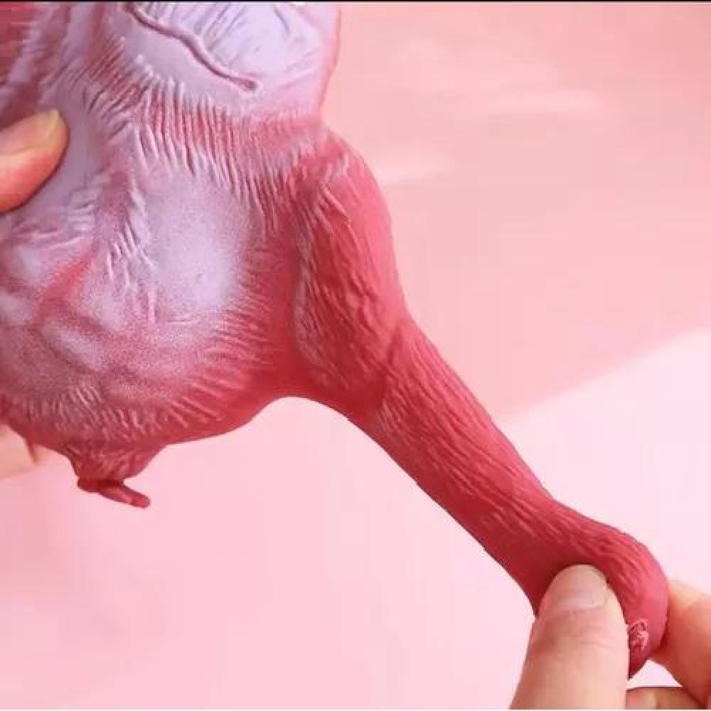 JUGUETE ANTIESTRÉS SQUISHY GORILA PEQUEÑO GORILA TIKTOK 9 CM - 6