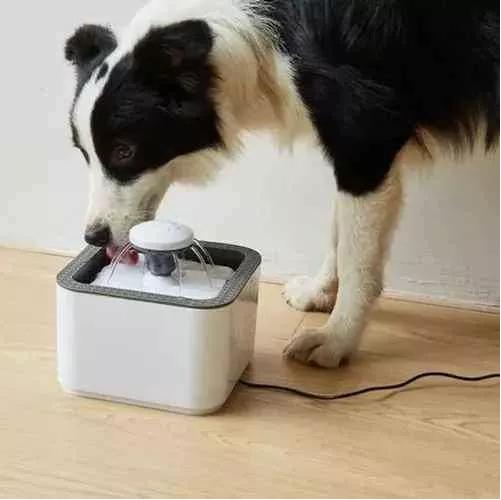 FUENTE DE AGUA PARA GATOS Y PERROS DE 2.5 LITROS DE 3 MODOS COLOR GRIS - 4