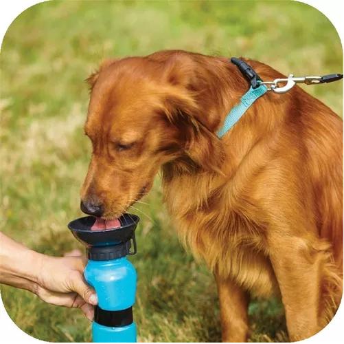 DISPENSADOR AGUA 500ML BOTELLA PORTÁTIL MASCOTA PERRO GATO COLOR AZUL - 6