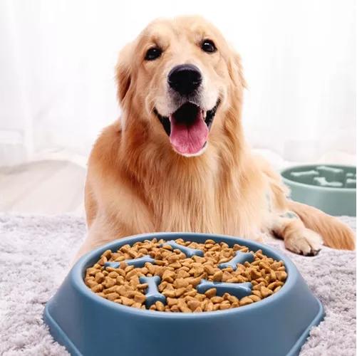 PLATOS ANTISTRES DE COMIDA PARA MASCOTAS HUESITOS PERROS Y GATOS - 6