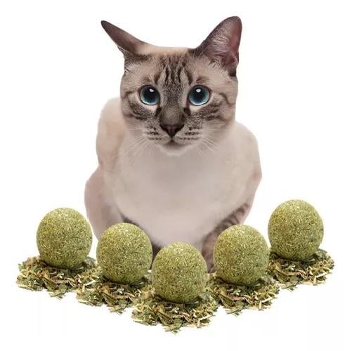 JUEGOS GATOS BOLAS CATNIPO HIERBA GATUNA RORO INTERACTIVO - 3