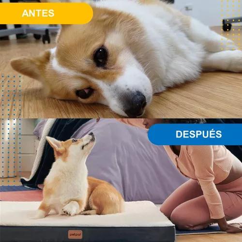 CAMA PARA PERRO Y GATO MASCOTA GRIS - 6