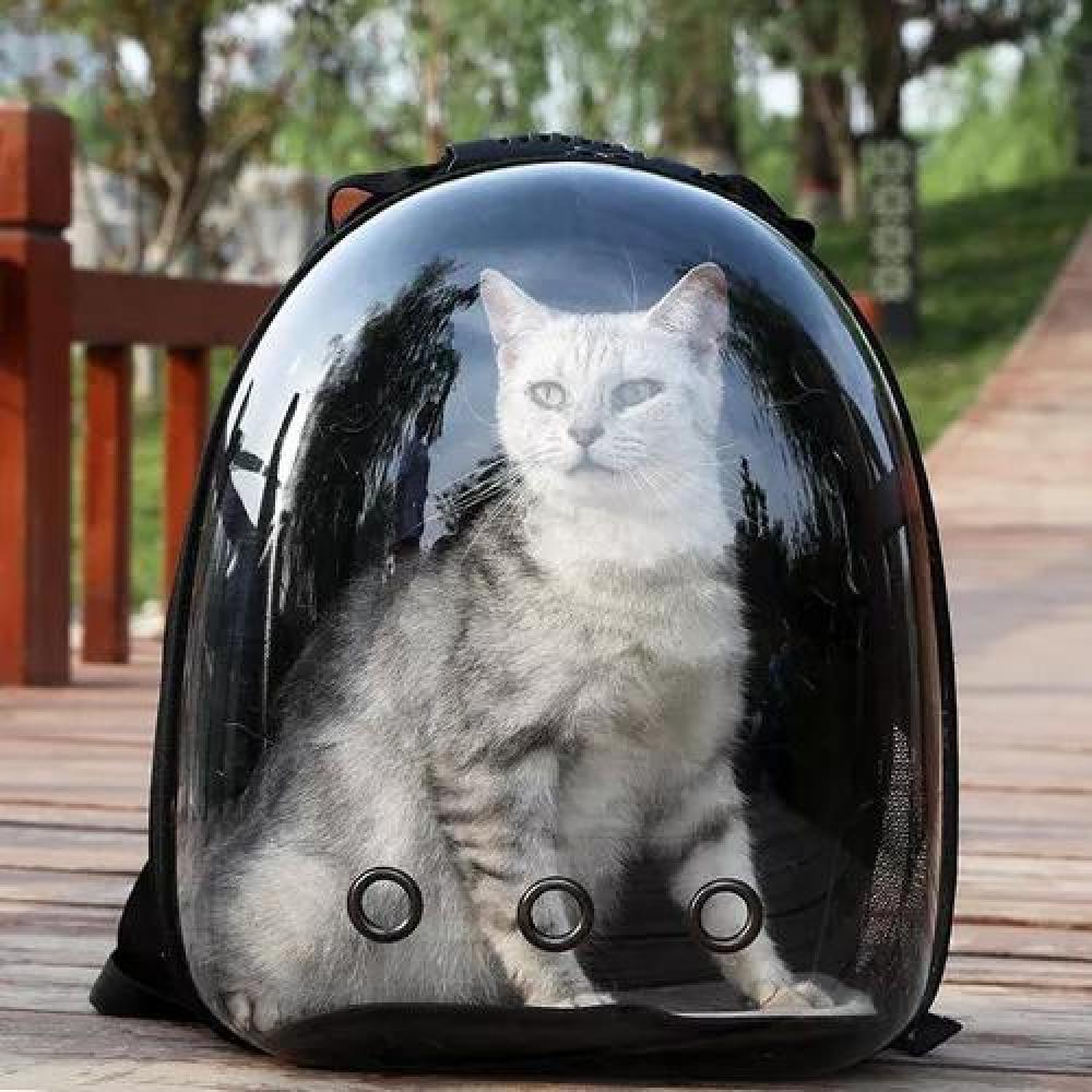 MOCHILA PERROS Y GATOS TRANSPORTADORA TRANSPARENTE - 3
