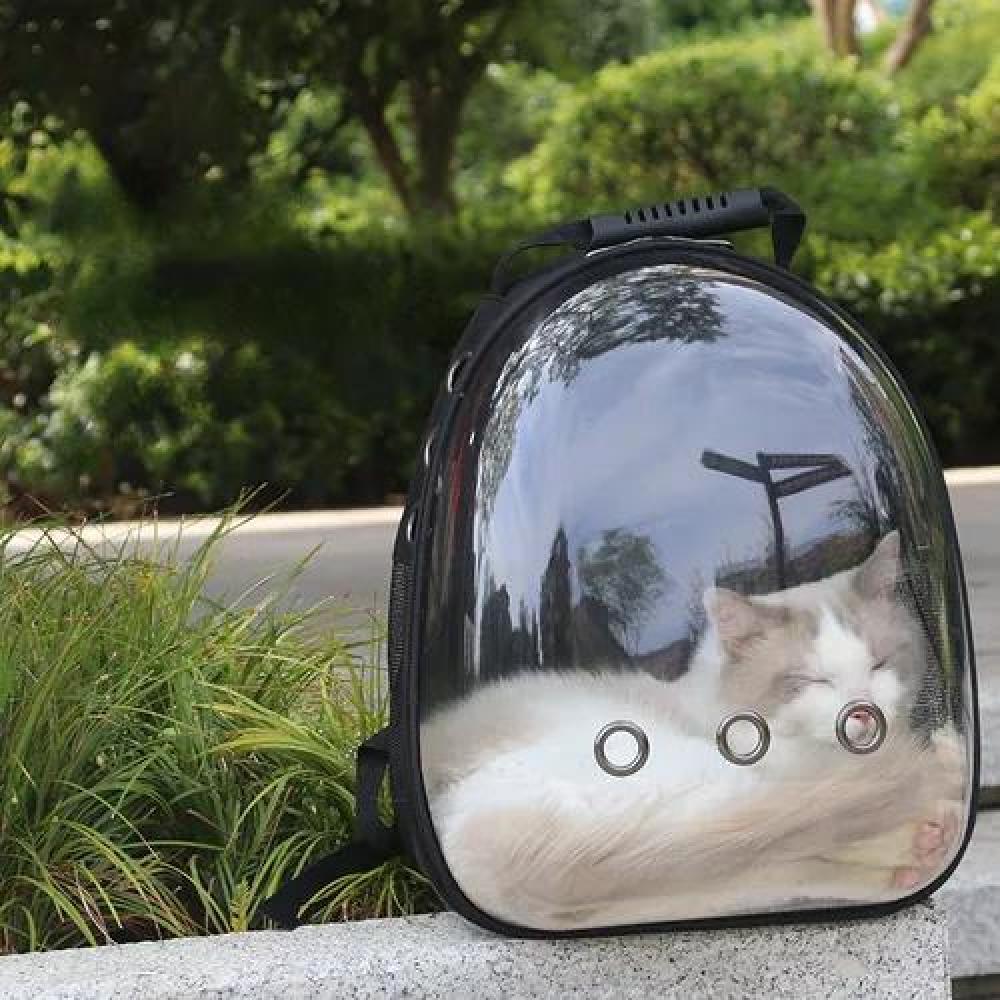MOCHILA PERROS Y GATOS TRANSPORTADORA TRANSPARENTE - 4
