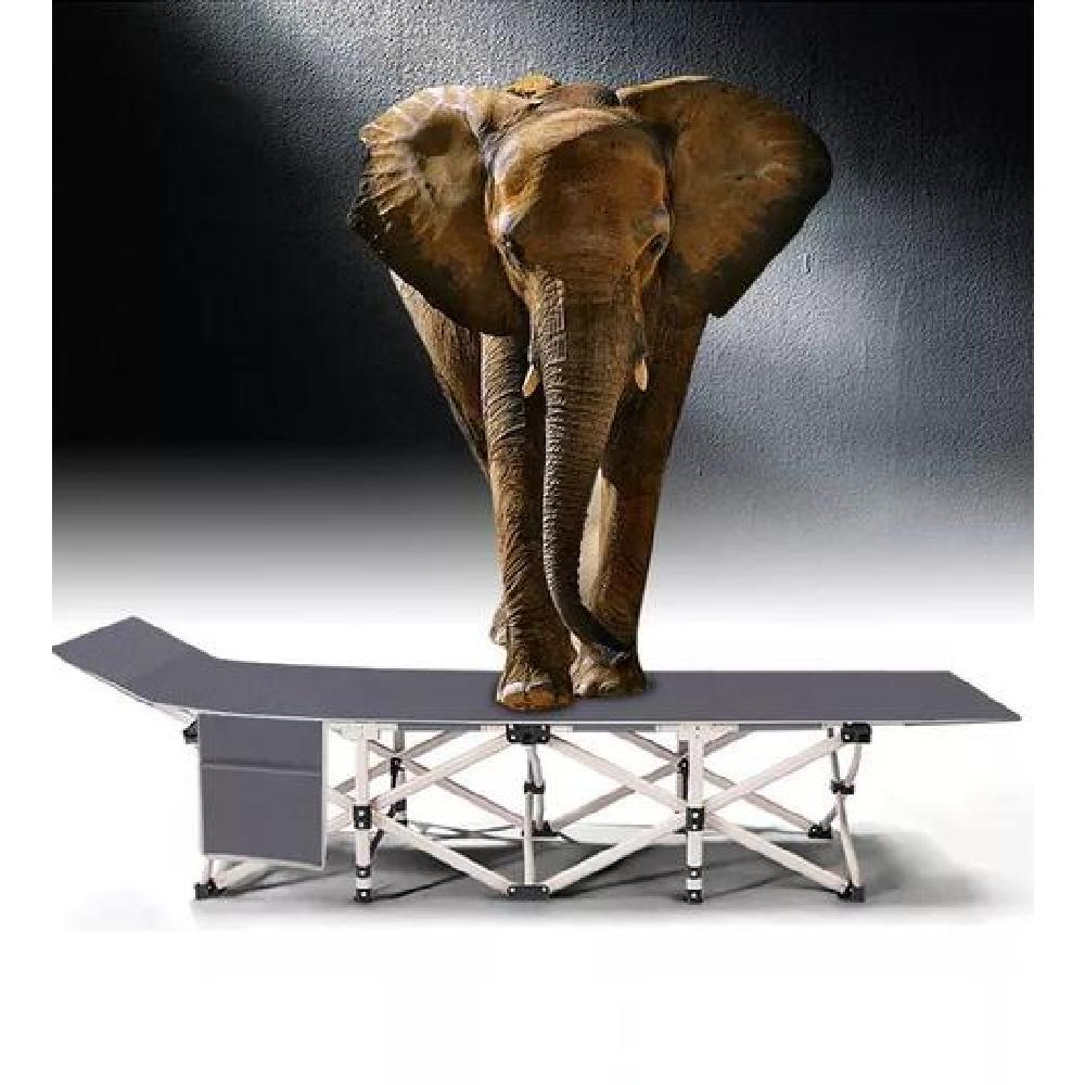 CATRE CAMA CAMPAÑA CAMPING PLEGABLE + BOLSA GRIS - 7