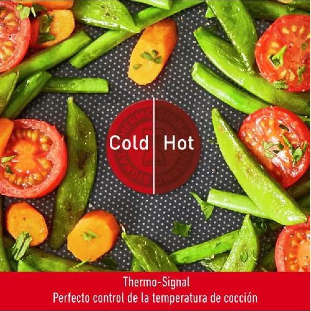 PANQUEQUERA 25 CM UNLIMITED TEFAL COLOR NEGRO - 6