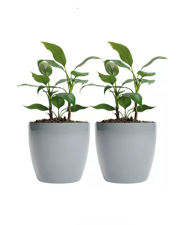 MACETEROS PLÁSTICO 20X22CM AMALFI PACK 2 UNIDADES 5.3L GRIS - 2