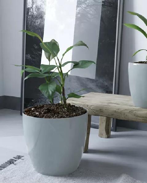 MACETEROS PLÁSTICO 20X22CM AMALFI PACK 2 UNIDADES 5.3L GRIS - 4