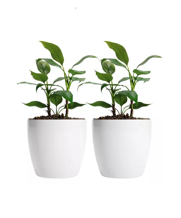 MACETEROS PLÁSTICO 20X22CM AMALFI PACK 2 UNIDADES 5.3L BLANCO - 2