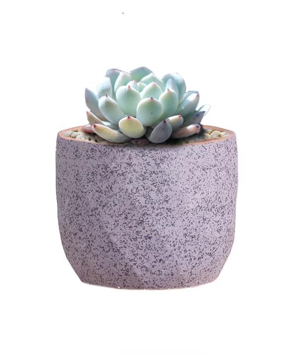 MACETERO GEOMÉTRICO CERÁMICA SUCULENTAS 7.2X6CM PACK 10 AZUL - 3