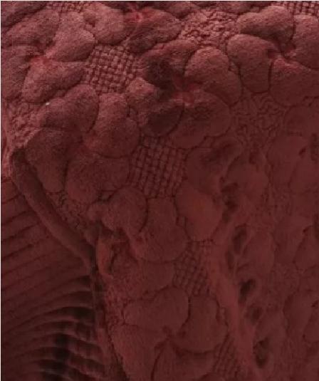 PIECERA POLAR TELA REVERSIBLE 95X210 CM COLOR BURDEOS - 1