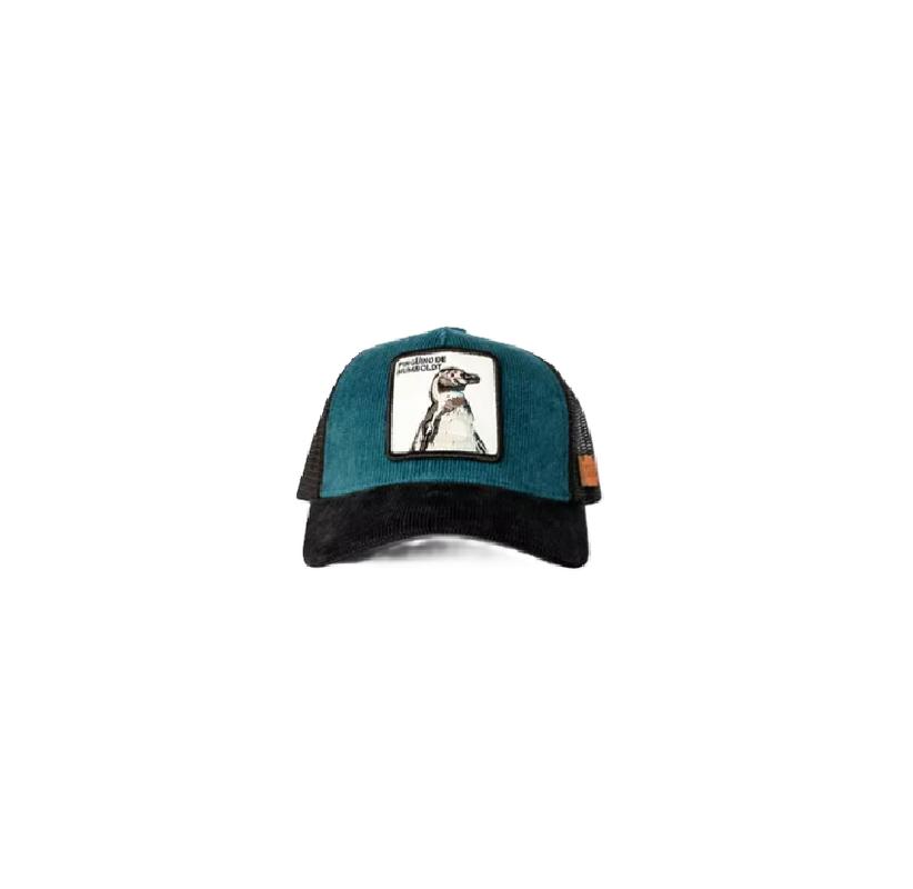 JOCKEY PINGÜINO DE HUMBOLDT PETRÓLEO MULTICOLOR - 3