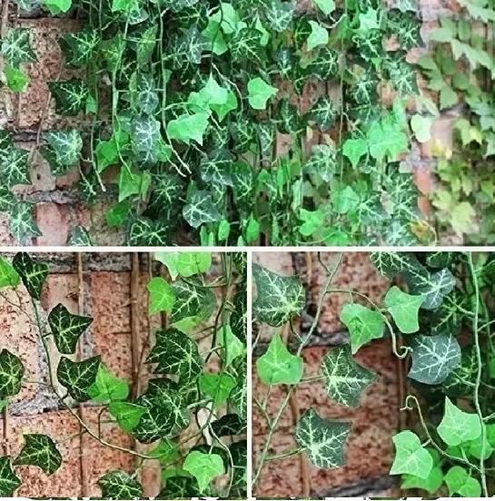 PACK DE 60 TIRAS PLANTA ARTIFICIAL ENREDADERA 2.1M DECORACIÓN - 2