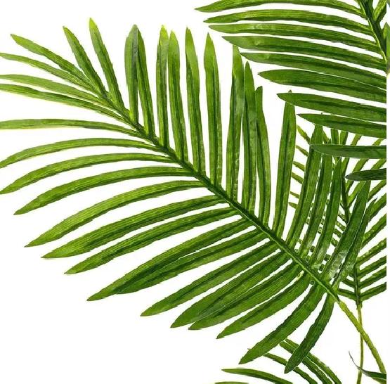 PLANTA ARTIFICIAL ENREDADERA PALMERA 1.1M DECORACIÓN HOGAR - 6