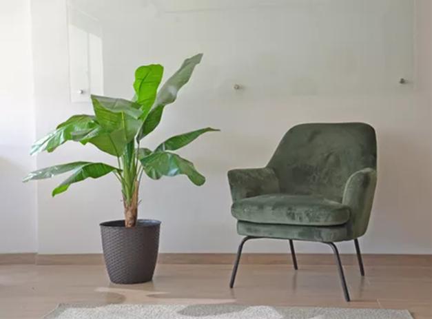 PLANTA ARTIFICIAL BANANO 120CM LUXURY 12 HJS / ARBUSTO REAL - 3