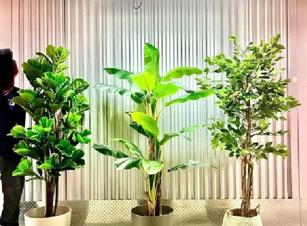 PLANTA ARTIFICIAL BANANO 120CM LUXURY 12 HJS / ARBUSTO REAL - 4