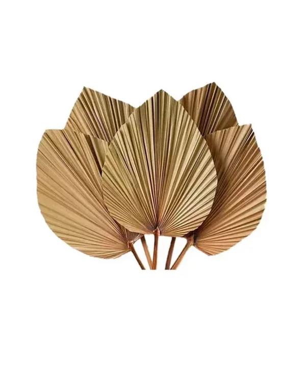 10 PIEZAS DE HOJAS DE PALMA SECAS FORMA DE CORAZÓN TROPICAL - 1