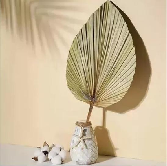 10 PIEZAS DE HOJAS DE PALMA SECAS FORMA DE CORAZÓN TROPICAL - 2