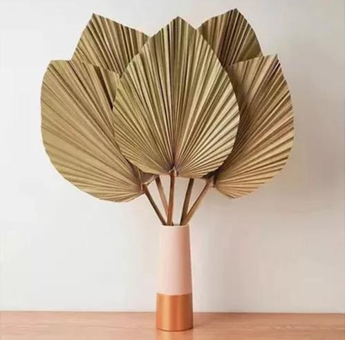 10 PIEZAS DE HOJAS DE PALMA SECAS FORMA DE CORAZÓN TROPICAL - 4