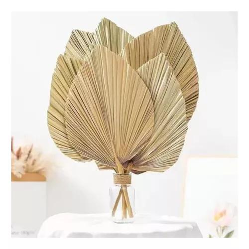 10 PIEZAS DE HOJAS DE PALMA SECAS FORMA DE CORAZÓN TROPICAL - 5