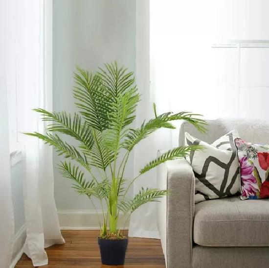PLANTA ARTIFICIAL EN MACETA ENREDADERA PALMERA DECORACIÓN - 6