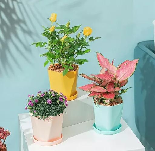 6 MOLDES PARA JARDINERAS PEQUEÑAS MOLDES PARA PLANTAS - 6