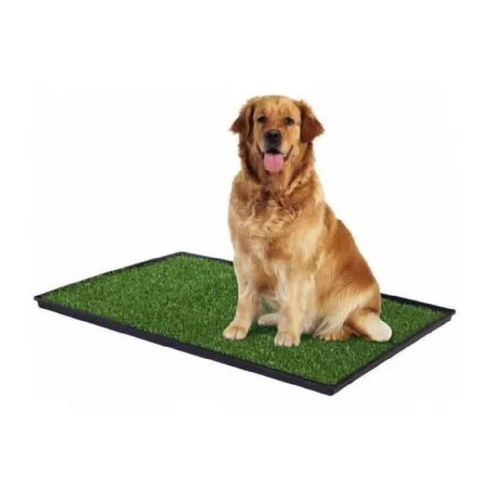 BAÑO PORTÁTIL CON CÉSPED PARA PERROS GRANDE XL 51X76CM - 2