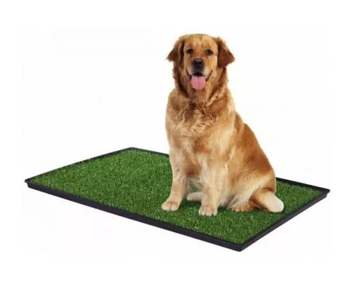 BAÑO PORTÁTIL CON CÉSPED PARA PERROS GRANDE XL 51X76CM - 6