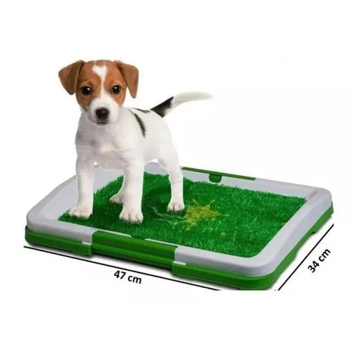BAÑO ECOLÓGICO PARA PERROS Y MASCOTAS - 7