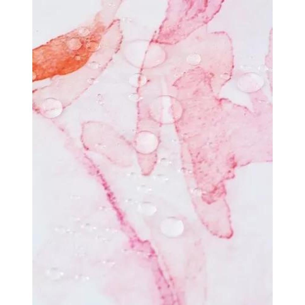 CORTINA DE BAÑO Y DUCHA, TELA IMPERMEABLE, BLANCA CON FLORES - 4