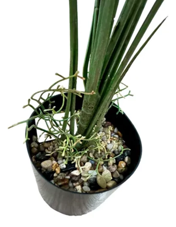 PLANTAS ARTIFICIALES MONSTERA DECORACION HOGAR - 3
