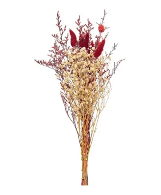 RAMO FLORES SECAS PAMPAS Y LIMONIUM - 1