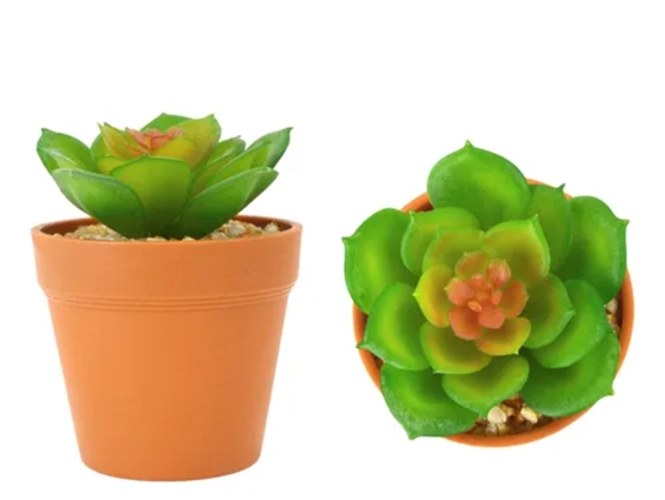 MINI PLANTA ARTIFICIAL MACETERO PLASTICO 12 CM - 2