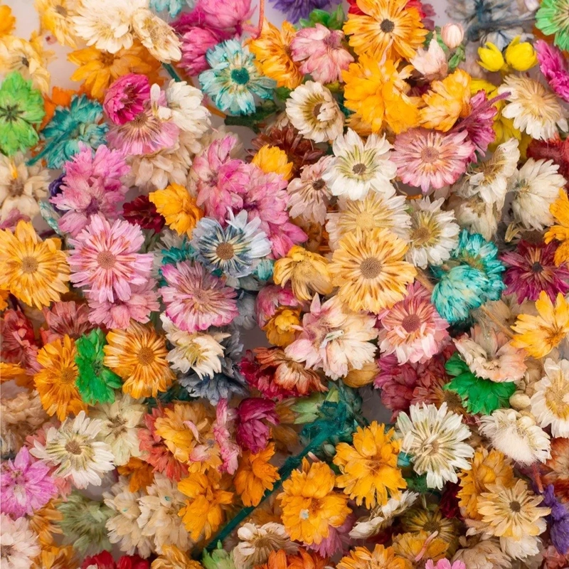 FLORES SECAS PARA MANUALIDADES O DECORACION - 1