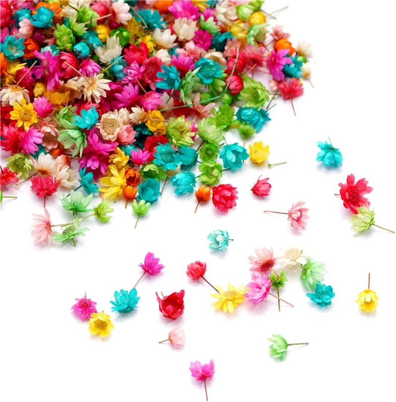FLORES SECAS PARA MANUALIDADES O DECORACION - 2