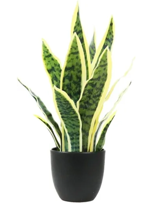 PLANTA ARTIFICIAL SANSEVIERIA LENGUA DE SUEGRA - 1
