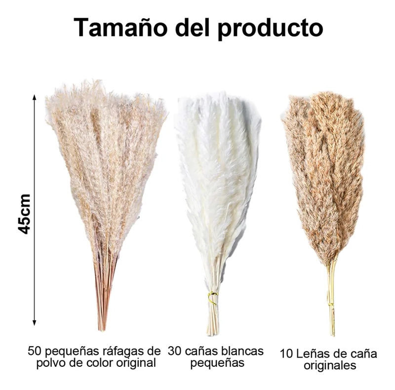 RAMO PAMPAS SECAS NATURALES 90 UDS 44 CM - 2