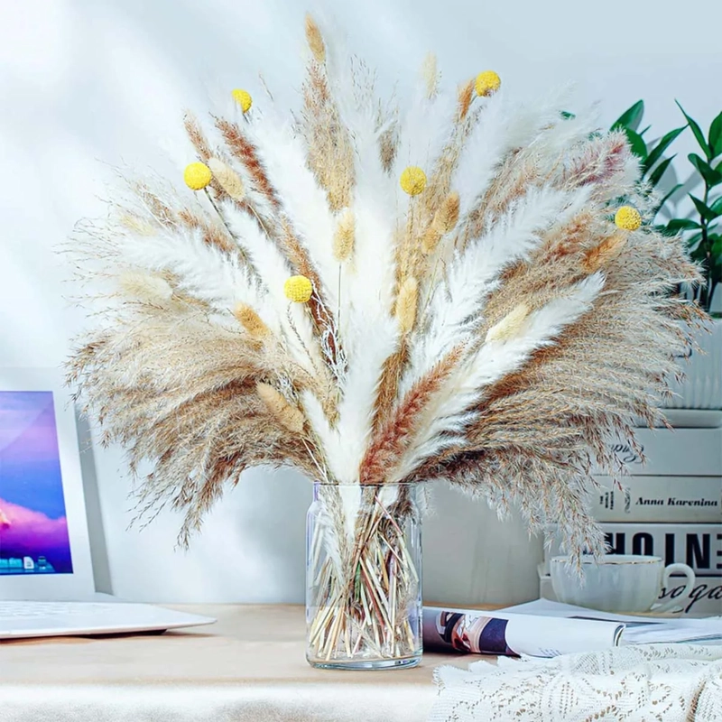 RAMO PAMPAS SECAS NATURALES 90 UDS 44 CM - 3