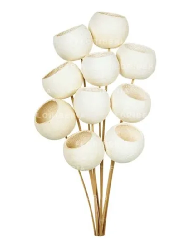 BELL CUP FLORES ORNAMENTALES CAMPANA SECA BOHO - 1