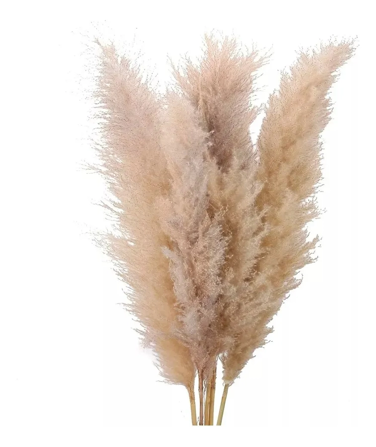 PAMPAS GRASS RAMAS 5 UDS 120 CM DECORACION - 1