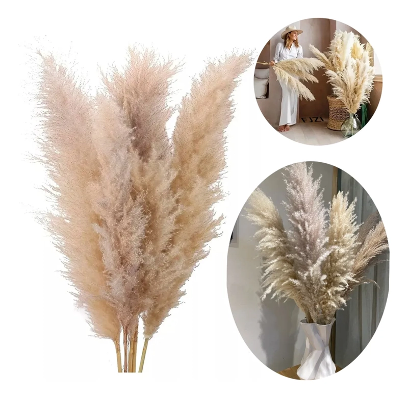 PAMPAS GRASS RAMAS 5 UDS 120 CM DECORACION - 2