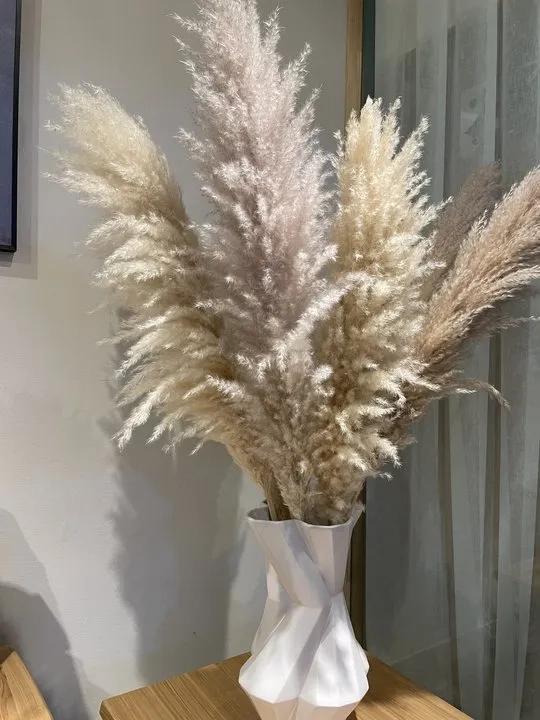 PAMPAS GRASS RAMAS 5 UDS 120 CM DECORACION - 3